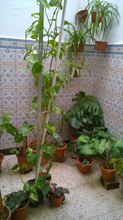 Casa Medina Sanaa Tetouan Hotel Ngoại thất bức ảnh